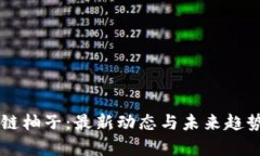 区块链柚子：最新动态与